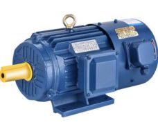 YBBP系列高壓隔爆型變頻調速三相異步電動機